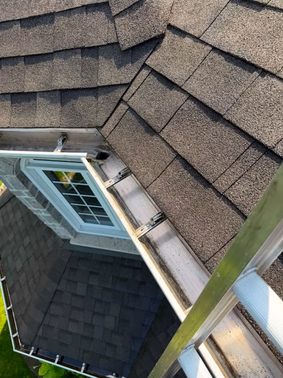Après : Gouttières obstruées par la mousse et les débris, dégagées pour un drainage optimal.